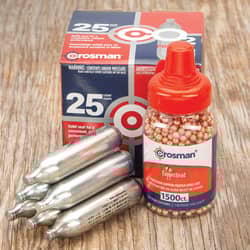 CO2 Cartridges And BBs Kit - 3,000 BBs, 25 Cartridges, Air Gun Accessories, High-Quality