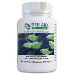 Amoxicillin is a broad spectrum antibiotic that controls some common bacterial diseases that your ornamental fish may fall victim
