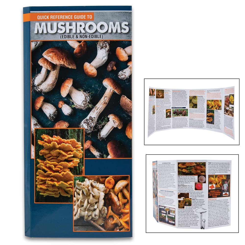 The Pocket Guide To Mushrooms shown folded and fully opened image number 0