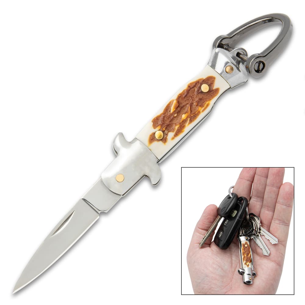 Keychain opened and inset of it on keys in hand. image number 0