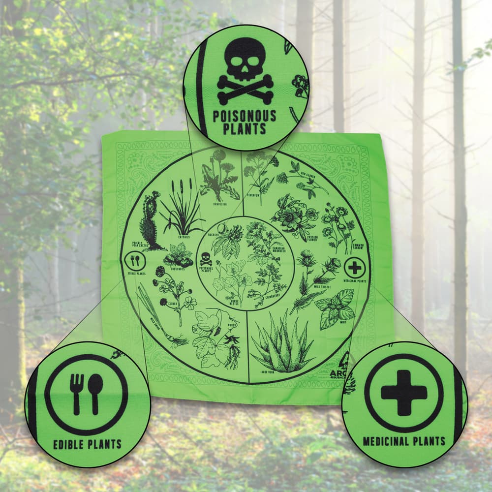 Full image showing some close ups of some of the signs on the Survival Plant Guide Bandana. image number 1
