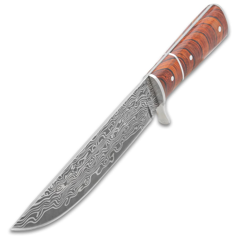 The fixed blade has a stainless steel drop point blade image number 1