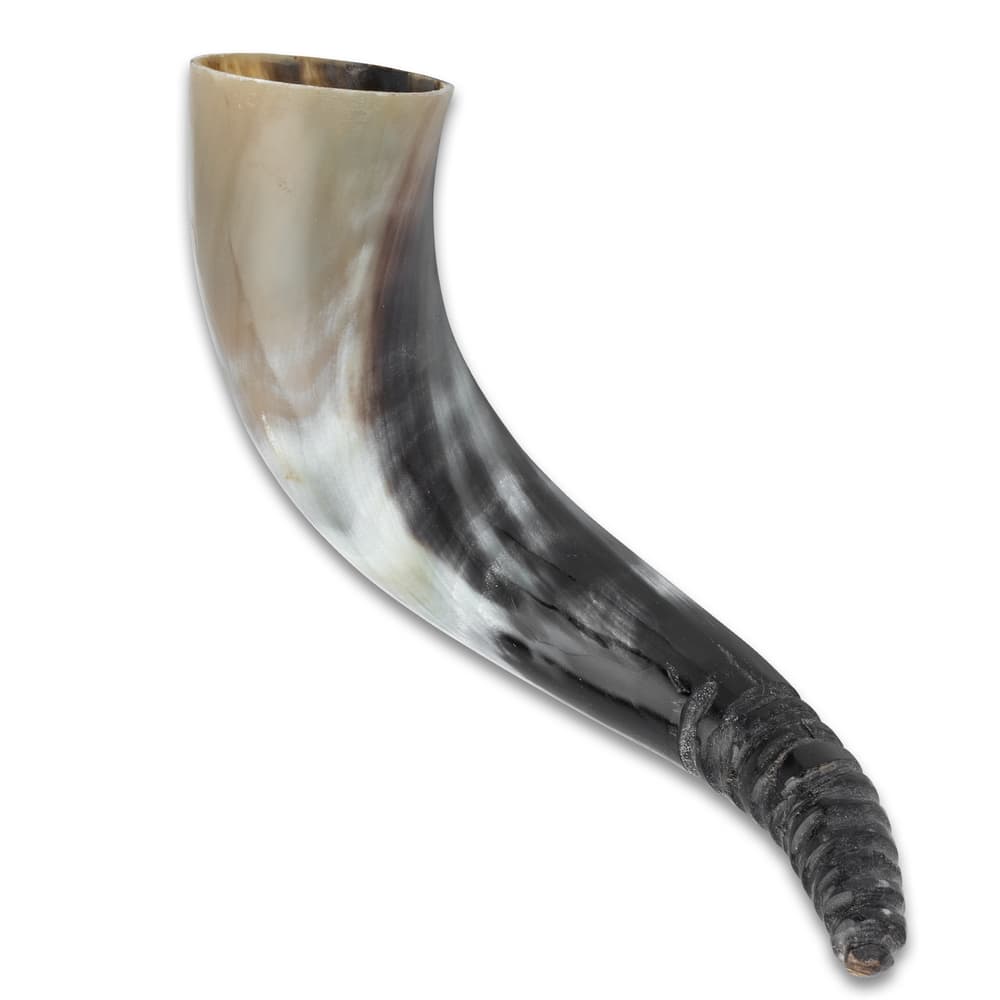 Each of the drinking horns has its own color variations and size image number 1