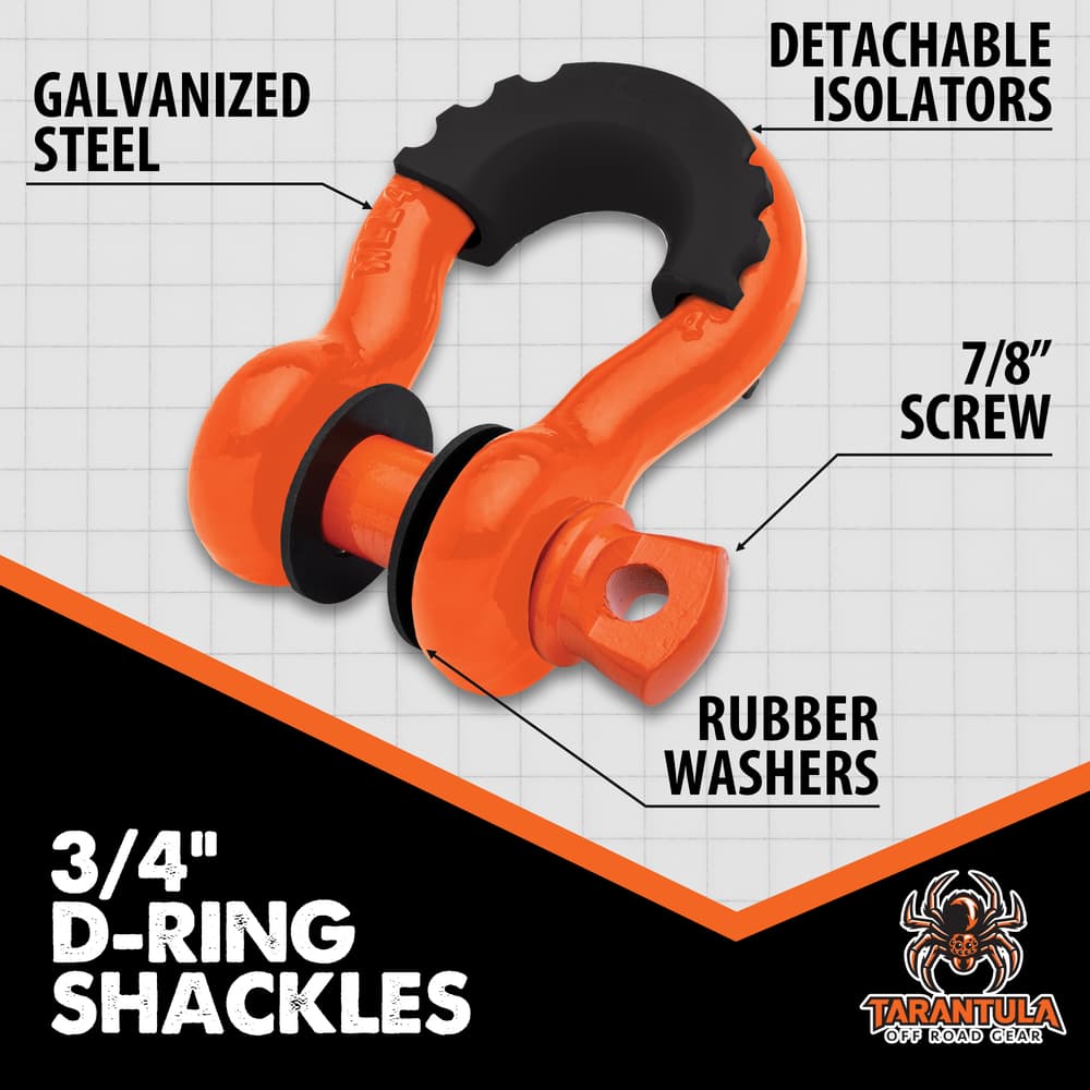 Details and features of the 3/4" D-Ring Shackles. image number 1