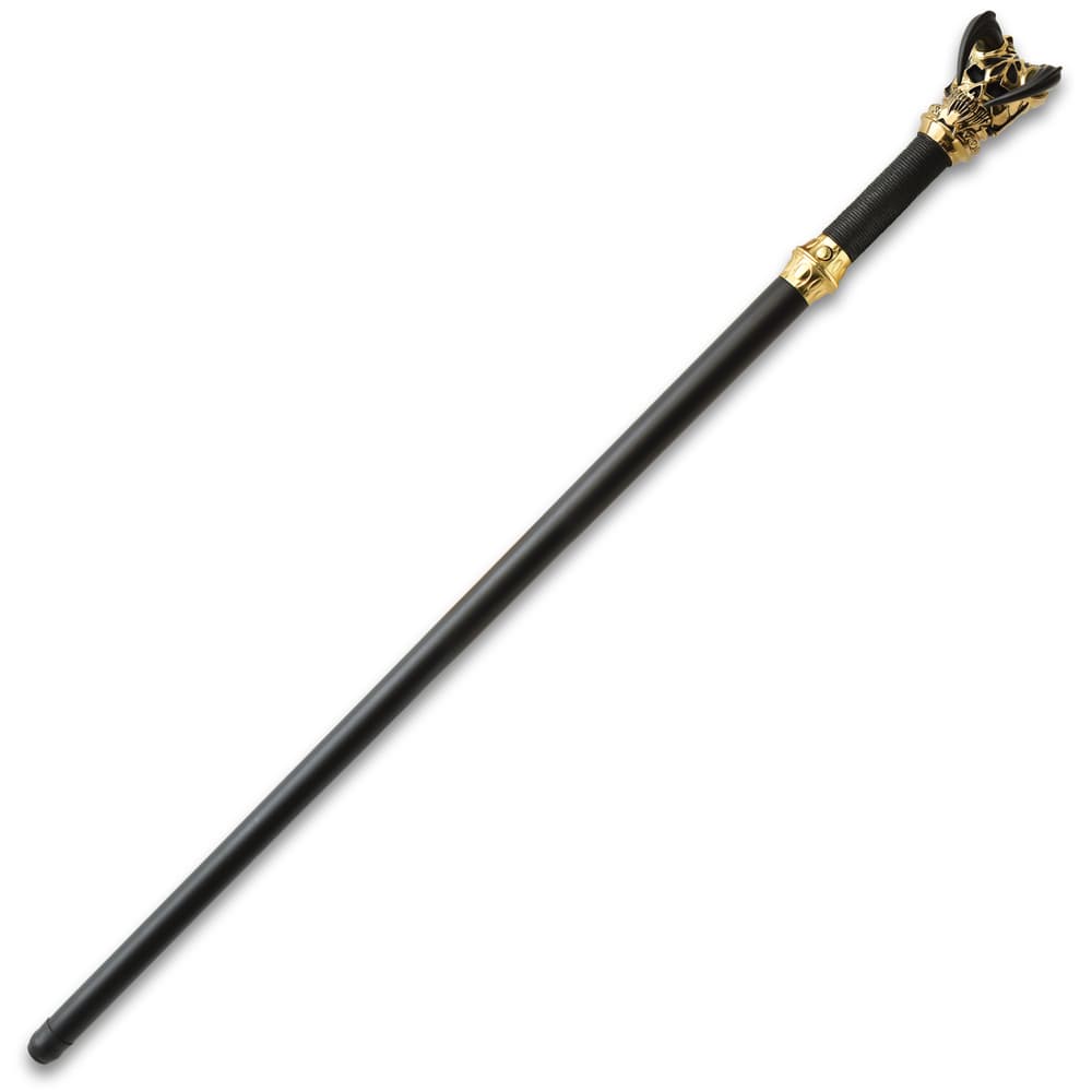 The sword cane in its sheath image number 1