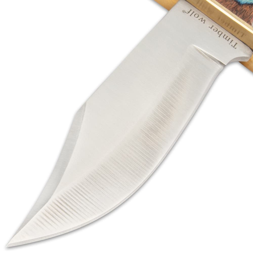 It has a full-tang, razor-sharp 6” stainless steel, clip point blade, extending from a polished brass hand-guard image number 2