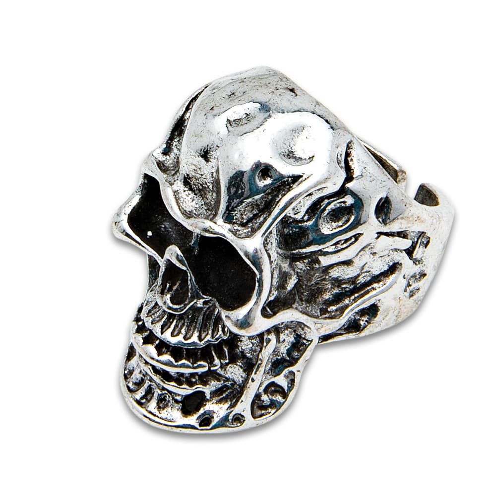 A view of the skull ring in the set image number 2