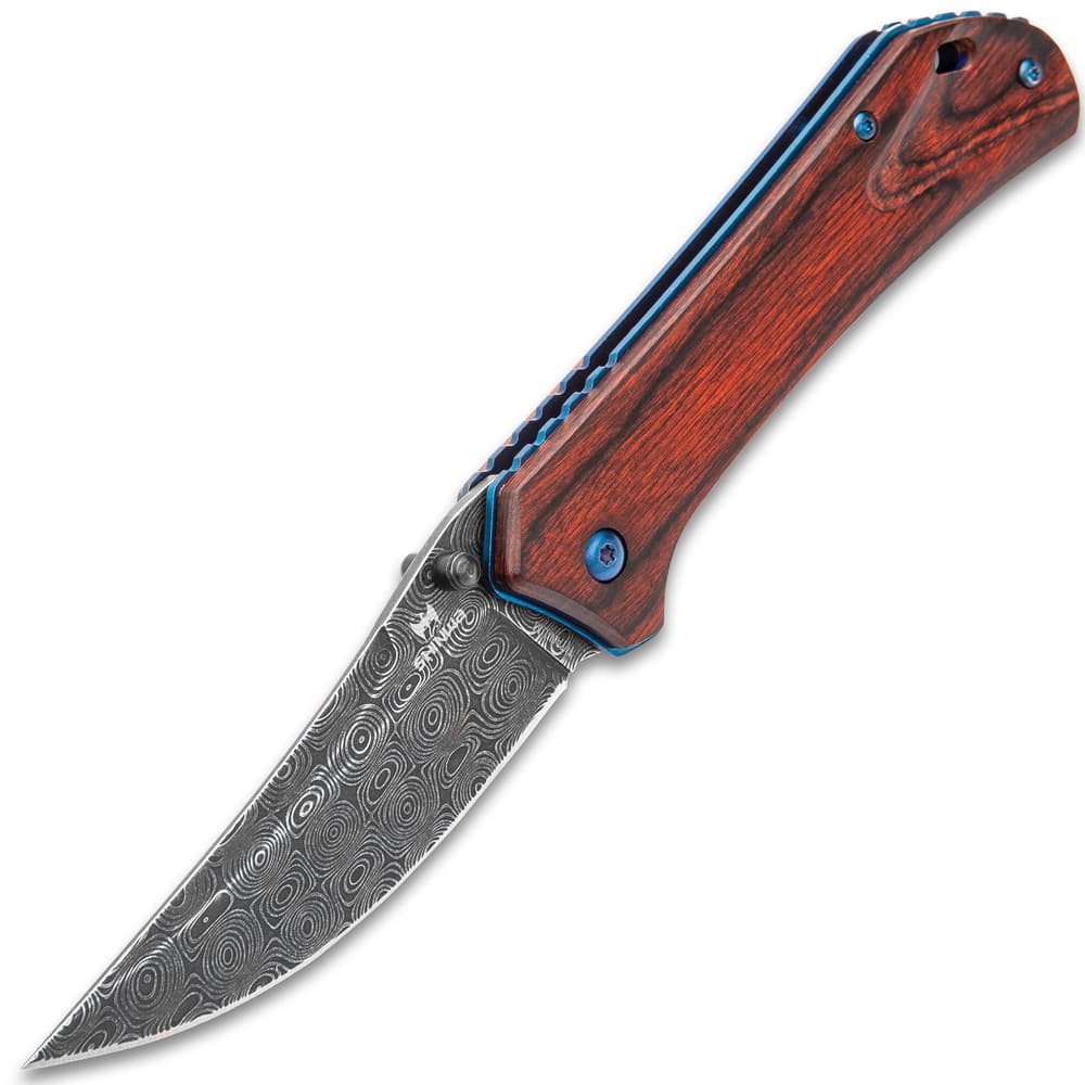 Shinwa Zhanshi Bloodwood Assisted Opening Pocket Knife - Stainless Steel Blade, Wooden Handle Scales, Blue Liners And Pocket Clip image number 4