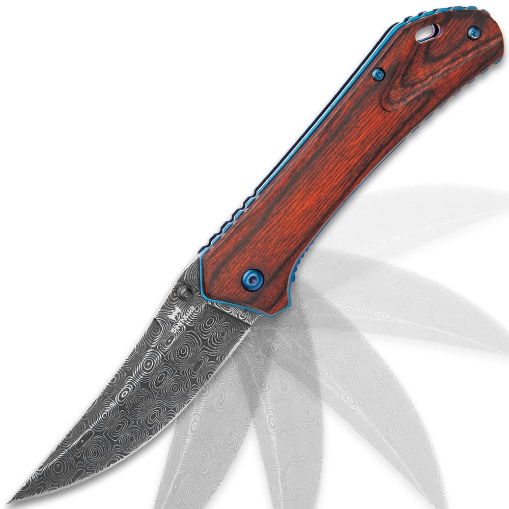 Shinwa Zhanshi Bloodwood Assisted Opening Pocket Knife - Stainless Steel Blade, Wooden Handle Scales, Blue Liners And Pocket Clip image number 6