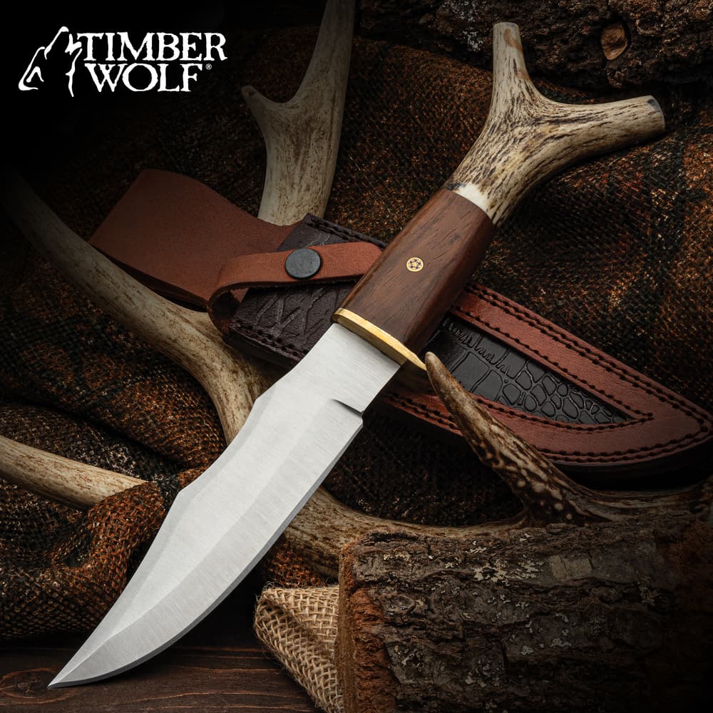 The Timber Wolf Stag Antler Fixed Blade with stainless steel blade and stag antler handle shown on a rustic background. image number 0