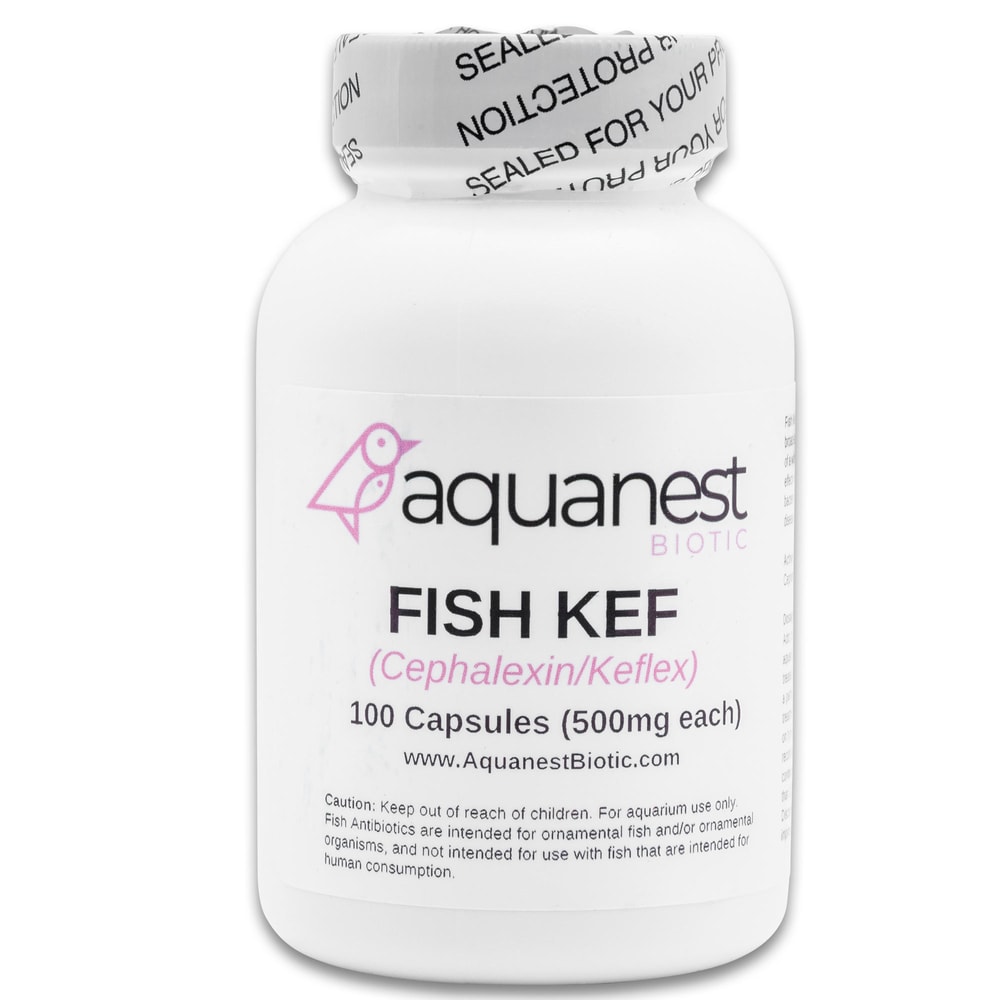 Aquanest Fish Cephalexin Keflex 500 MG 100