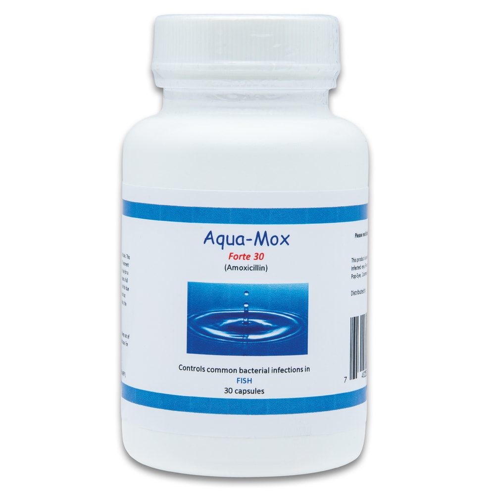 Aqua Mox Forte 500 MG Capsules Fish