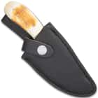 Coon Skinner Knife with Finger Grip and