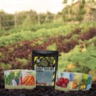 BugOut SHTF Fall Garden 12-Pack - Variety Of Heirloom Vegetables, Fall Planting, Individually Packaged With Instructions
