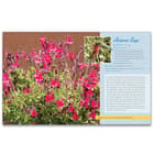 The book has photographs and information on more than 100 native plants in the South