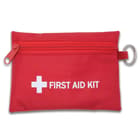 The zippered nylon pouch