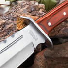Upclose view of where the blade meets the wooden handle, displaying the upside down engraved ram and "Ridge Runner" on a background of rocks and wood. 
