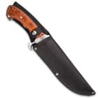 Ridge Runner Woodland Reverie Bowie / Fixed Blade Knife - Stainless Steel, Full Tang - Genuine Zebrawood - Nylon Sheath - Collecting, Field Use, Display and More - 13 1/4"