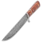 The fixed blade has a stainless steel drop point blade