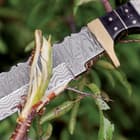 Timber Rattler Colorado Hunter Damascus Knife with Genuine Leather Sheath