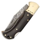 Timber Wolf Trader Pocket Knife With Sheath - Damascus Steel Blade, Fileworked Spine, Genuine Horn Handle, Brass Bolster And Liners