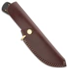 Timber Wolf Black Creek Knife With Sheath - Damascus Steel Blade, Gut Hook, Buffalo Horn Handle Scales, Brass Guard - Length 9”