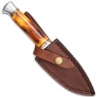 Timberwolf Australian Outback Fixed Blade Knife - Damascus Steel Blade, Genuine Burnt Bone Handle, Stainless Steel Guard And Pommel - Length 9”