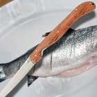The knife with its natural wood grain handle and brass pins is shown on top of a partially filleted fish.