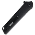 The handle is black G10, and it has a pocket clip.