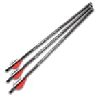 A six-pack of airgun arrows