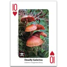 The playing cards have colored photographs of mushrooms