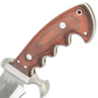 The grippy finger-grooved handle scales are a rich, brown wood, secured with stainless steel pins and there is a lanyard hole
