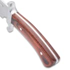 The glossy, reddish-brown wooden handle scales are attached to the tang with heavy-duty stainless steel pins