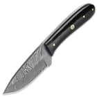 Timber Rattler Terra Preta Damascus Fixed Blade Knife with Leather Sheath