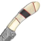 Timber Wolf Legion Knife And Sheath - Damascus Steel Blade, Fileworked Spine, Bone Handle Scales, Stainless Steel Pommel - Length 9”
