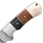 Genuine bone and buffalo horn handle scales are accented by brass pins and spacers and the handle features a lanyard hole