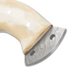 The natural bone handle scales are secured to the full tang with stainless steel pins and the end of the tang has lashing holes