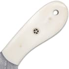 The handle is crafted of genuine creamy white bone, accented with brass rosettes and pins, and it has a lanyard hole