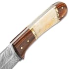 Timber Wolf Workhorse Fixed Blade Knife - Damascus Steel Blade, Wood And Bone Handle, Brass Pins And Spacers - Length 9”