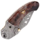 The brown handle scales are mottled brown with a rosette accent and a Damascus steel bolster, and the liners are fileworked brass