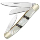Kriegar Ascot Stockman Pocket Knife - Stainless Steel Blades, Genuine Mother Of Pearl Handle, Brass Liners, Nickel Silver Bolsters