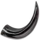 Buffalo Drinking And Display Horn - Crafted Of Genuine Horn, High-Polished Ebony Sheen - Length 12 1/2”