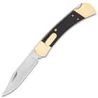 Slim extended pocket knife with angled blade and dark wood and gold handle on a white background.