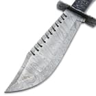The blade with sawback serrations