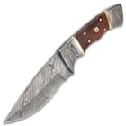 Timber Wolf Alpine Fixed Blade Knife With Sheath - Damascus Steel Blade, Wooden Handle, Brass Accents - Length 9”
