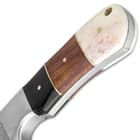 Genuine bone and buffalo horn handle scales are accented by brass pins and spacers and the handle features a lanyard hole