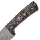 The handle scales are crafted of a dark wood, accented with brass rosettes and spacers and secured with brass pins