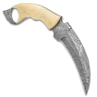 Timber Wolf Creamy Bone Karambit Knife With Sheath - Damascus Steel Blade, Micarta Handle Scales - Length 9 1/4”