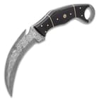 Timber Wolf Attila Karambit Knife - Damascus Steel Blade, Full-Tang, Micarta Handle Scales, Open-Ring Pommel - Length 9”