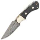 It has a full-tang, 3 1/2” Damascus steel blade that’s razor-sharp and tough enough to stand up to any cutting task